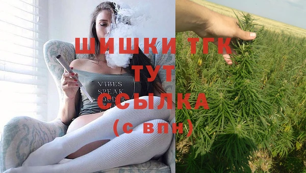 гидра Абаза