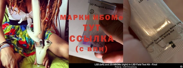 гидра Абаза