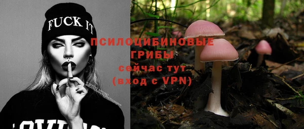 гидра Абаза