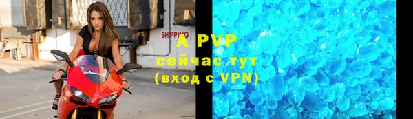 гидра Абаза