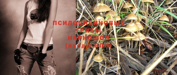 МДПВ Абдулино