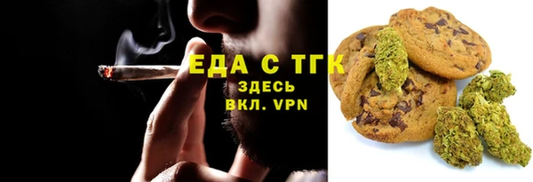 гидра Абаза