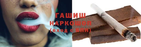 гидра Абаза