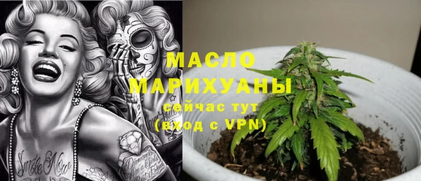 гидра Абаза