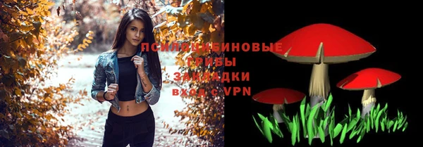 МДПВ Абдулино
