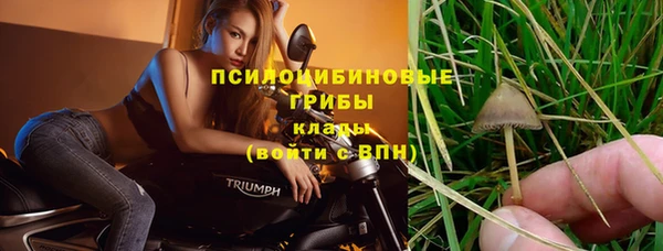 гидра Абаза