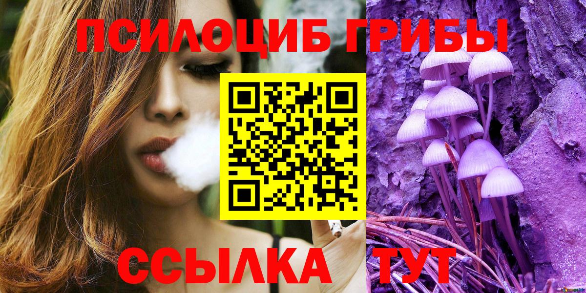 Галлюциногенные грибы Psilocybine cubensis Майский