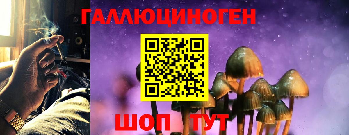 Псилоцибиновые грибы Psilocybe  Галлюциногенные грибы Psilocybine cubensis  Вход с VPN  Майский 